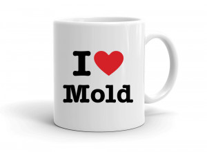 "I love Mold" mug