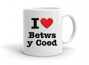 I love Betws y Coed