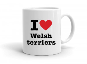 I love Welsh terriers